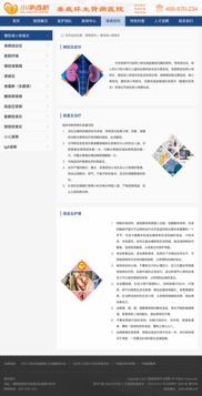 網(wǎng)站建設(shè)